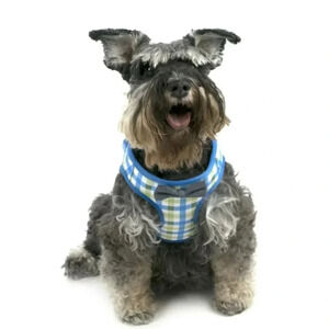 VIBRANT LIFE HARNESS XS 11.5-14 IN .